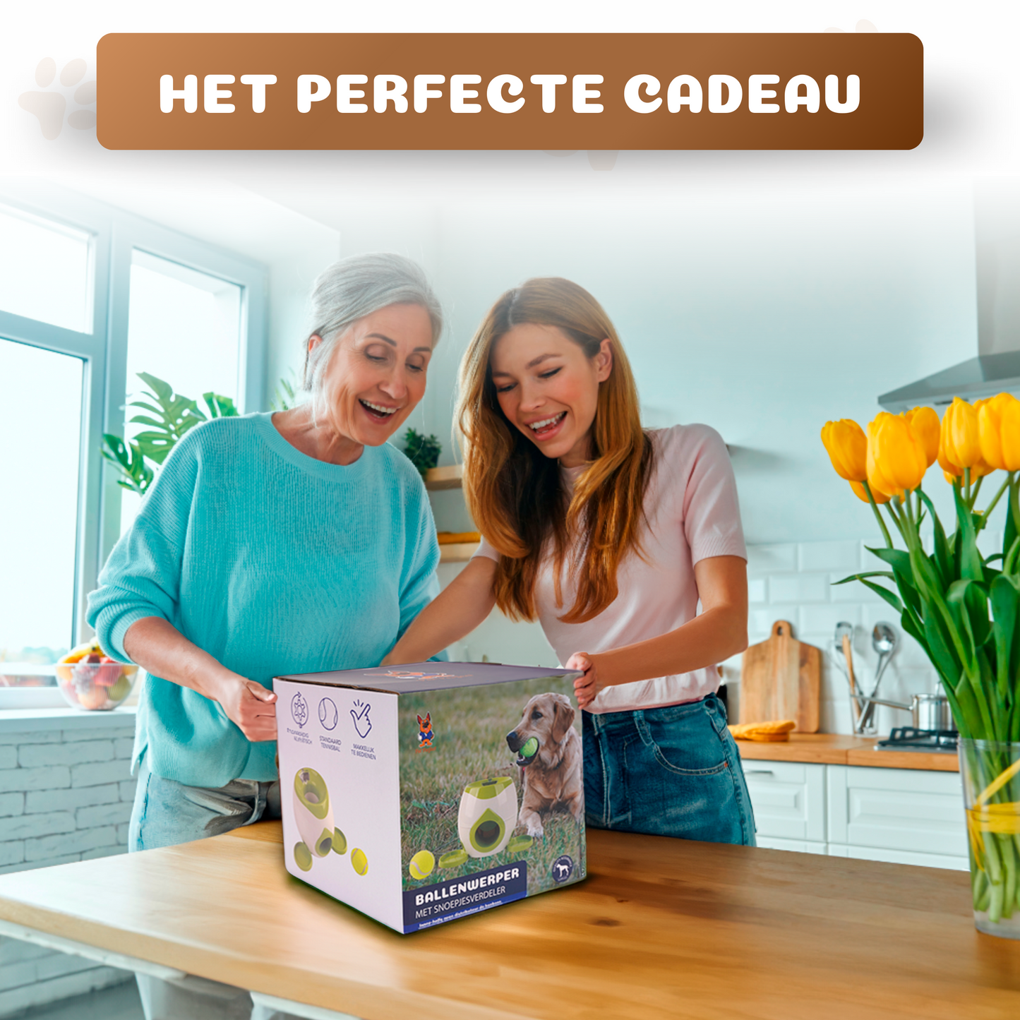 Pet Perfect Treat Dispenser