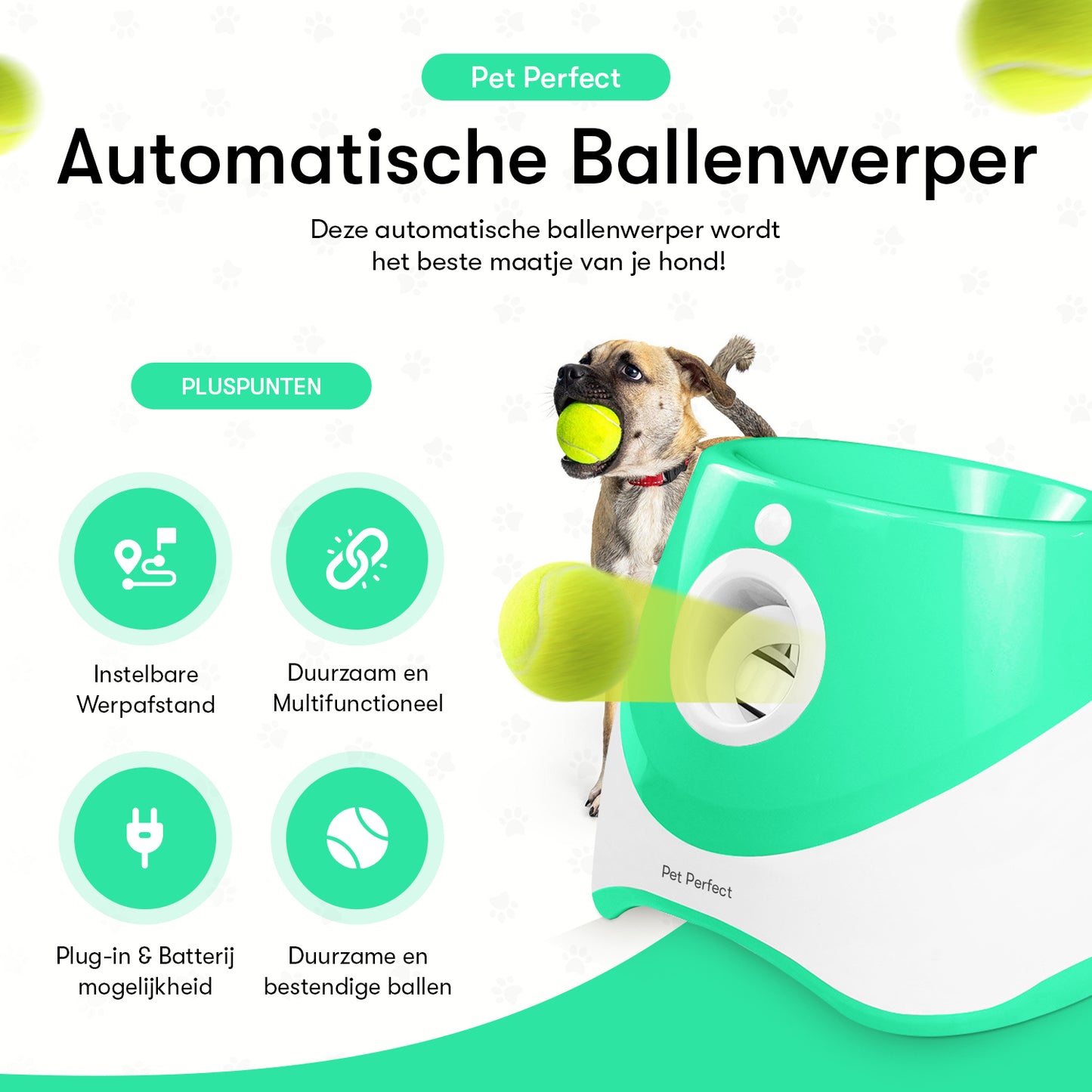 Pet Perfect Ballenwerper