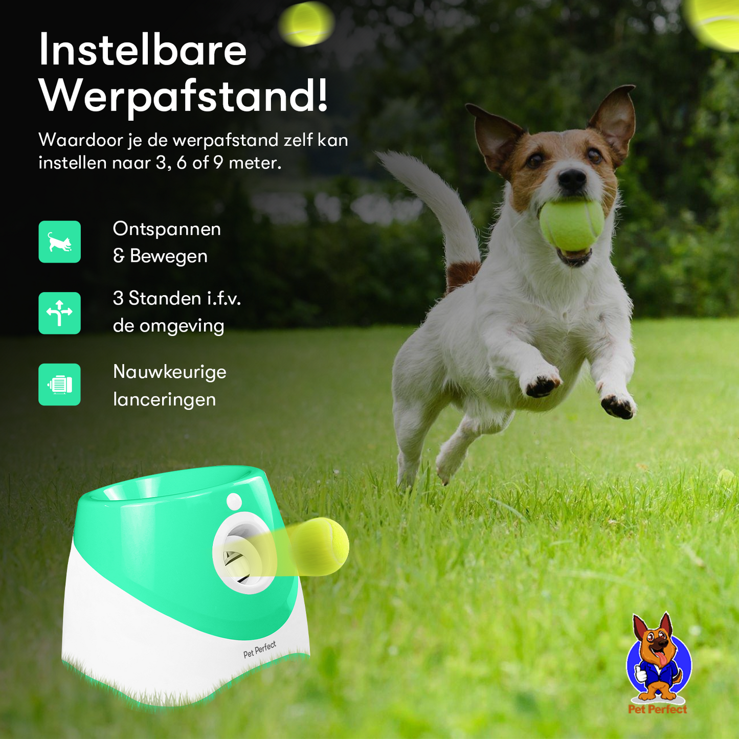 Pet Perfect Ballenwerper