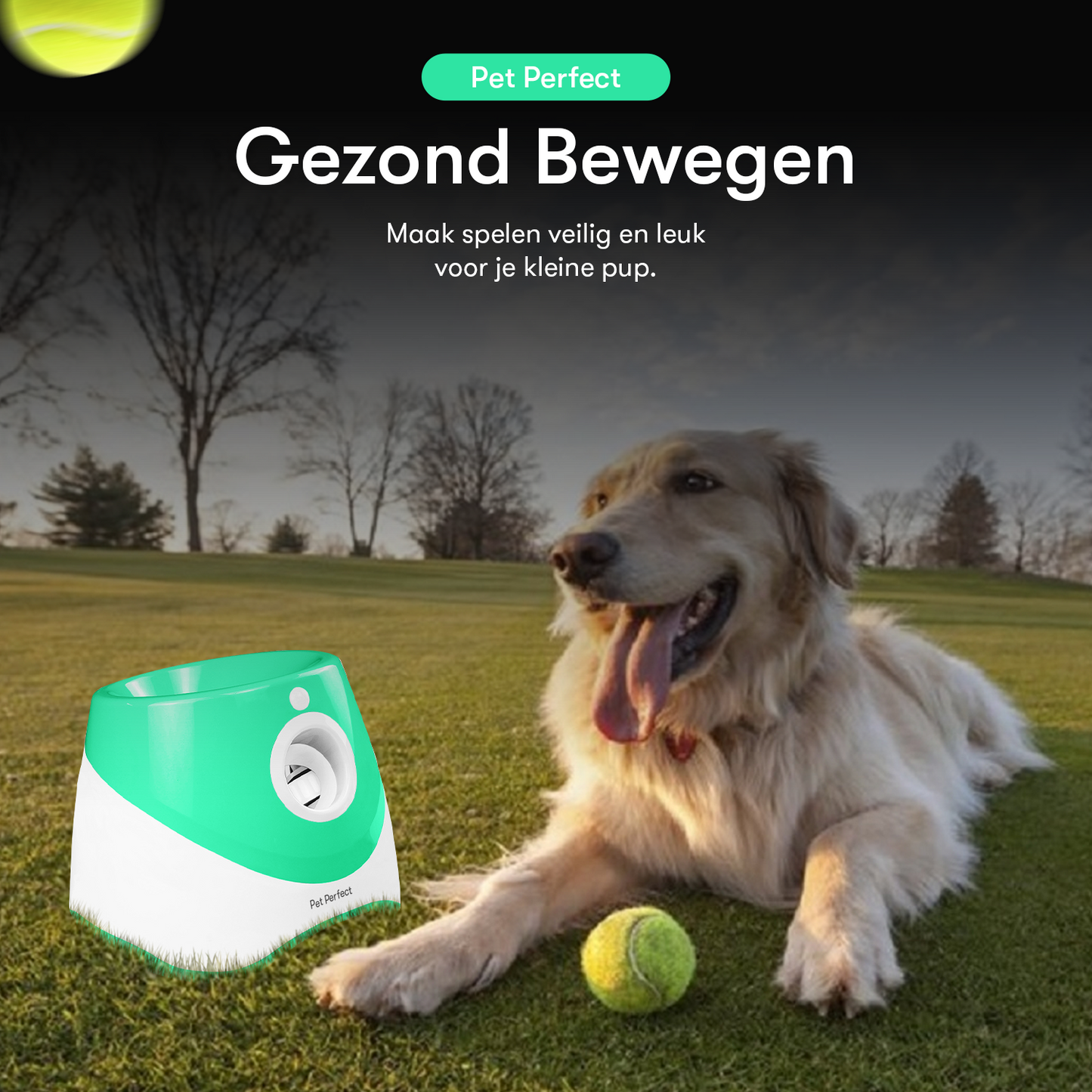 Pet Perfect Ballenwerper