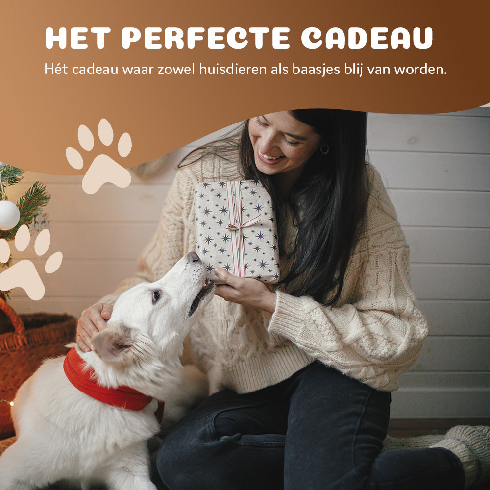 Pet Perfect premium autostoel hond