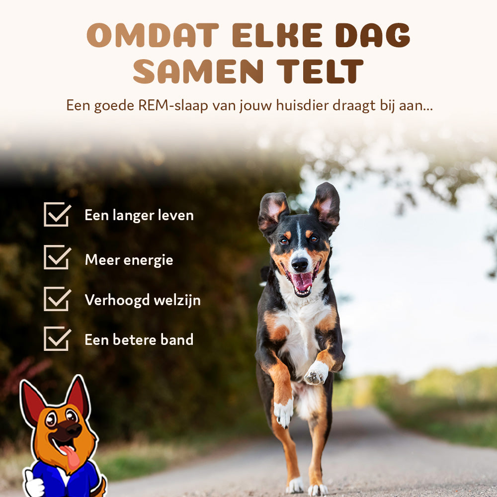 Pet Perfect premium autostoel hond