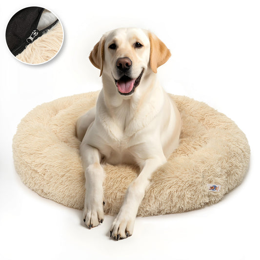 beige honden donutmand an Pet Perfect